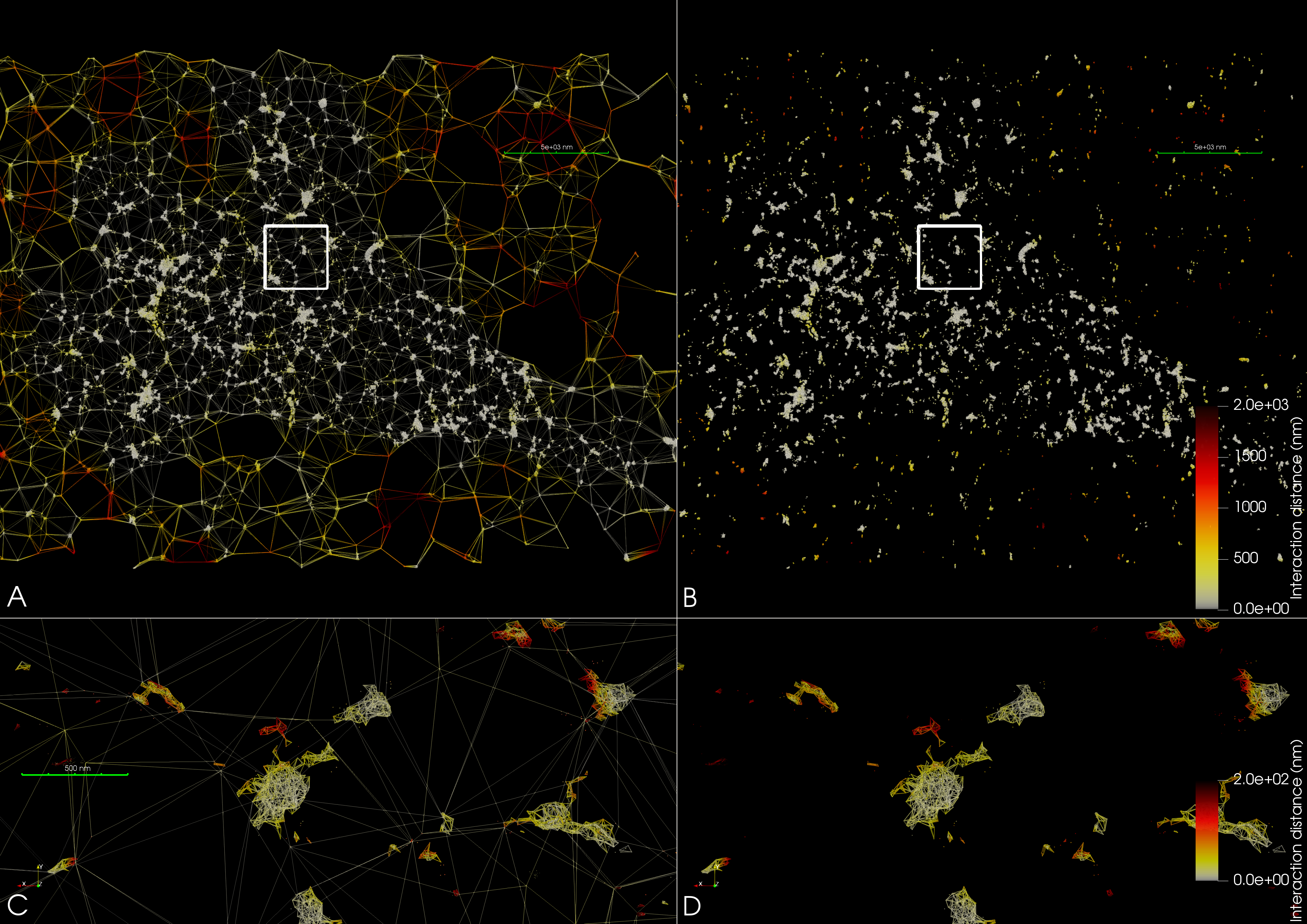 A 3D discrete vectorfield induced on 2 SMLM pointclouds