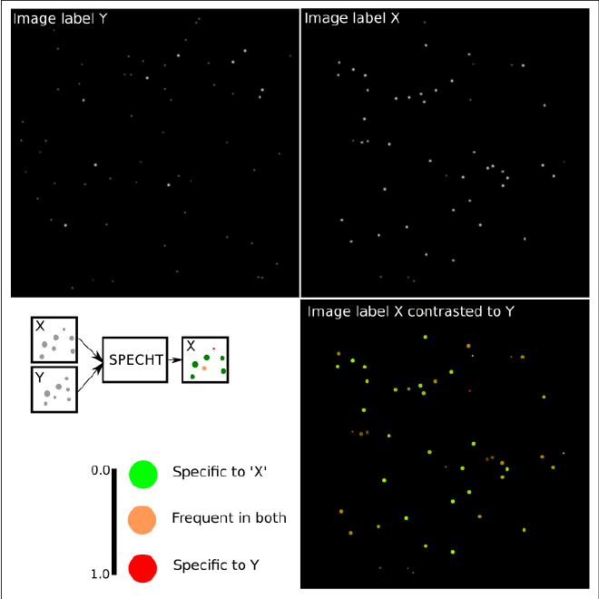 Contrastive learning